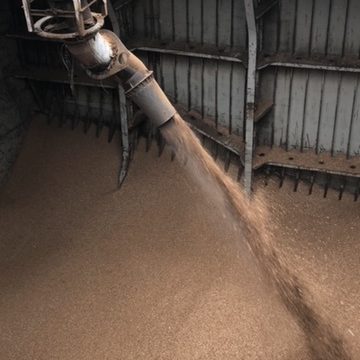 IWC wood chip